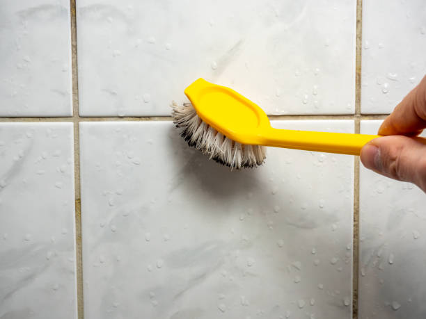 Best Mold Cleaning Services  in Piketon, OH