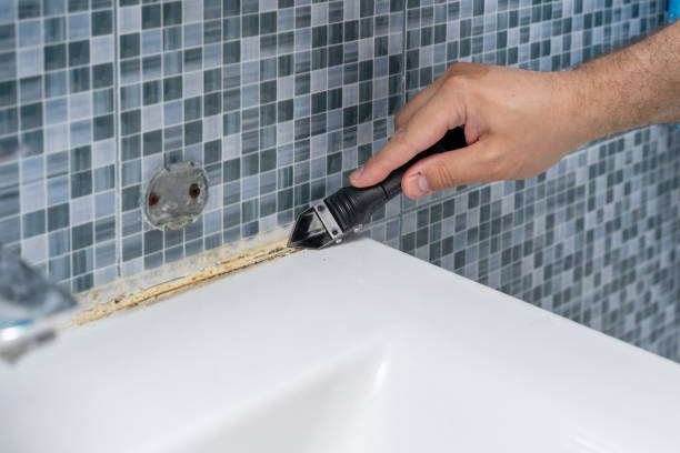Best Office Mold Removal Services  in Piketon, OH